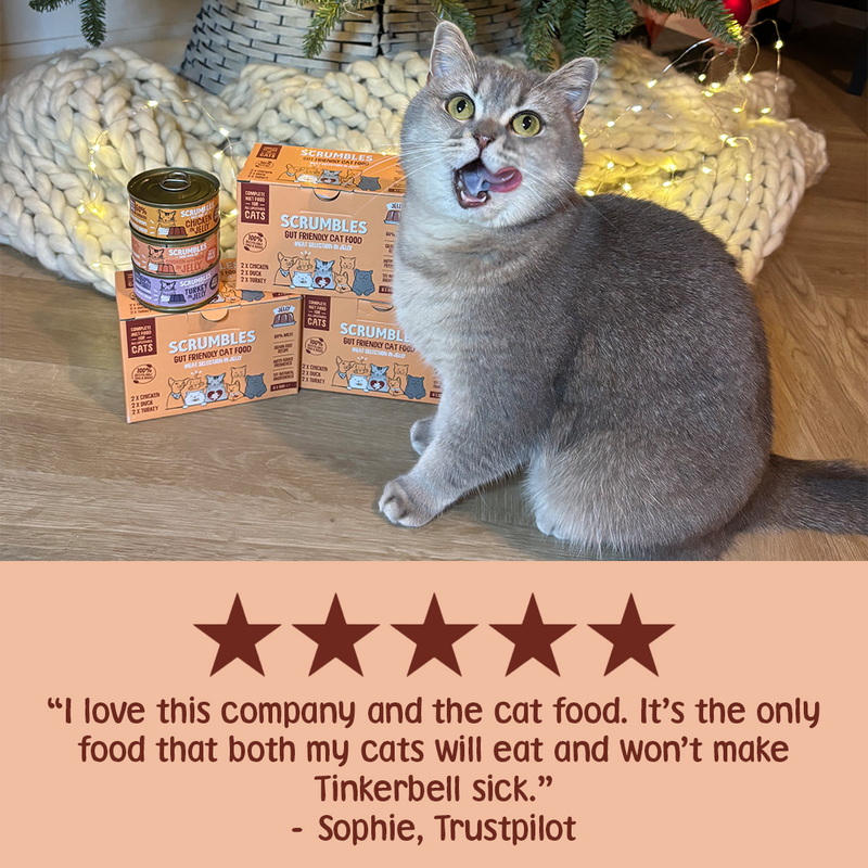 Wet Cat Tins Poultry Jelly Selection Review