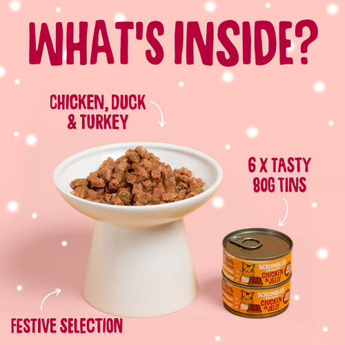 Christmas Poultry in Jelly Tins