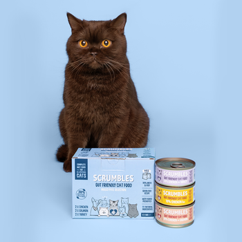 Wet Cat Tins Pate Selection