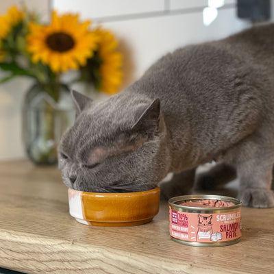 scrumbles-pate-cat-food-classic-selection-box-grain-free-high-protein-hypoallergenic-tin-1