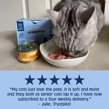 Wet Cat Tins Pate Selection Review