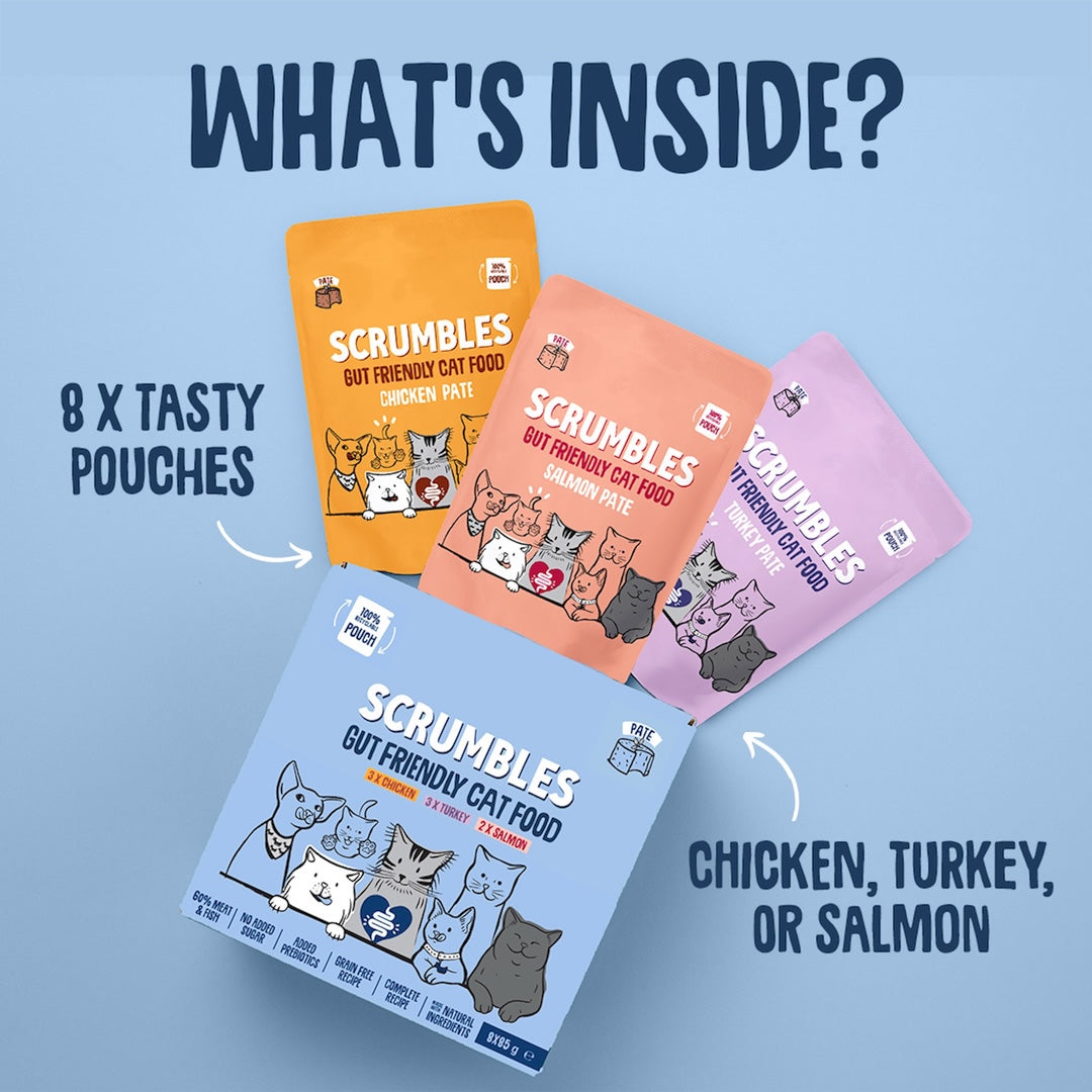 Wet Cat Pouches Pate Selection Selection