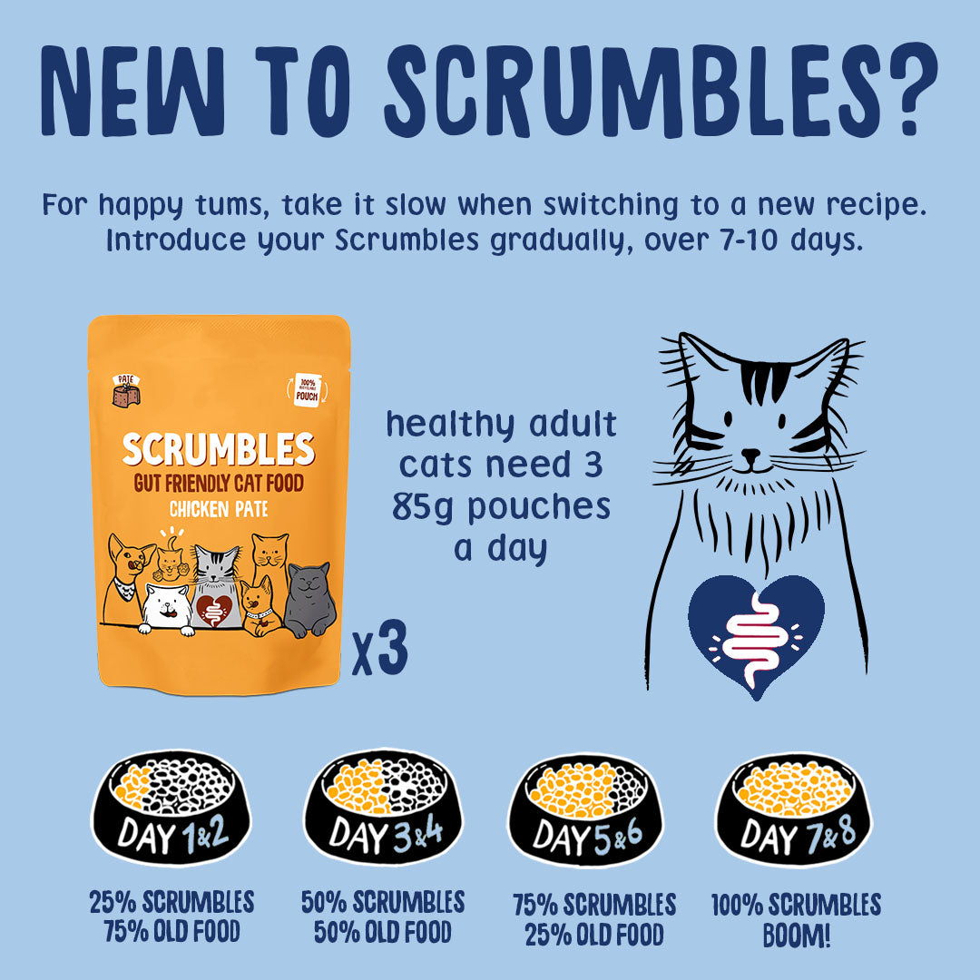 Wet Cat Pouches Pate Feeding Guide