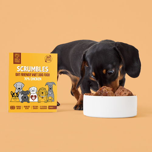 Chicken Wet Dog Food