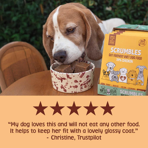 Chicken Wet Dog Food