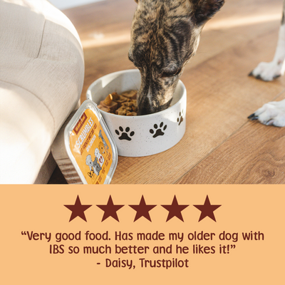Chicken 150g Wet Dog Food Review