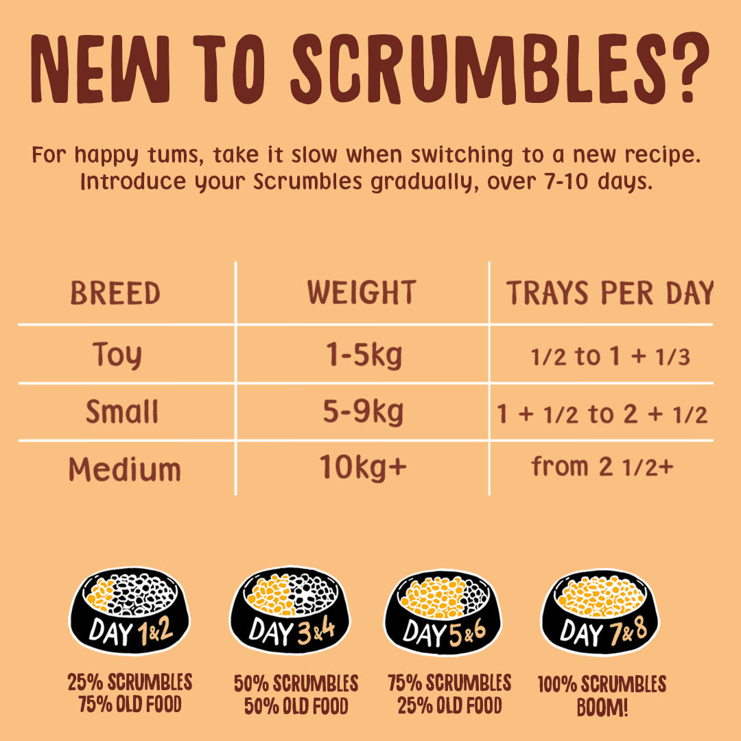 Instructional chart for introducing Scrumbles pet food gradually over 7-10 days, with breed-specific recommendations.