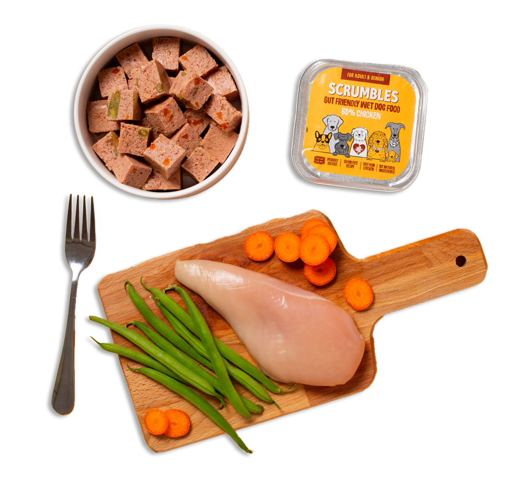 chicken wet dog food