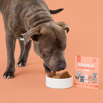 Duck Wet Dog Food Eating