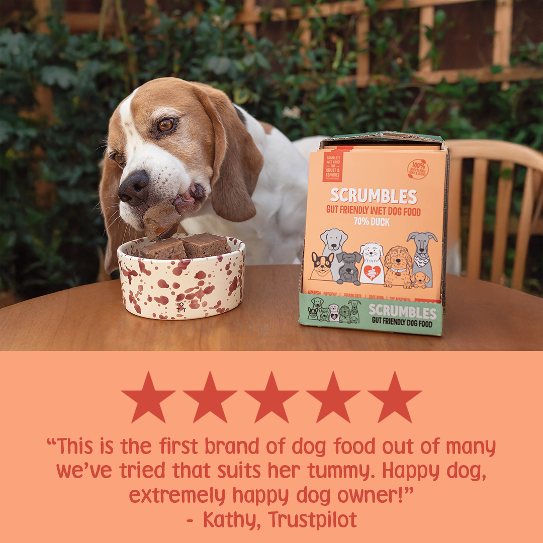 Duck Wet Dog Food Review