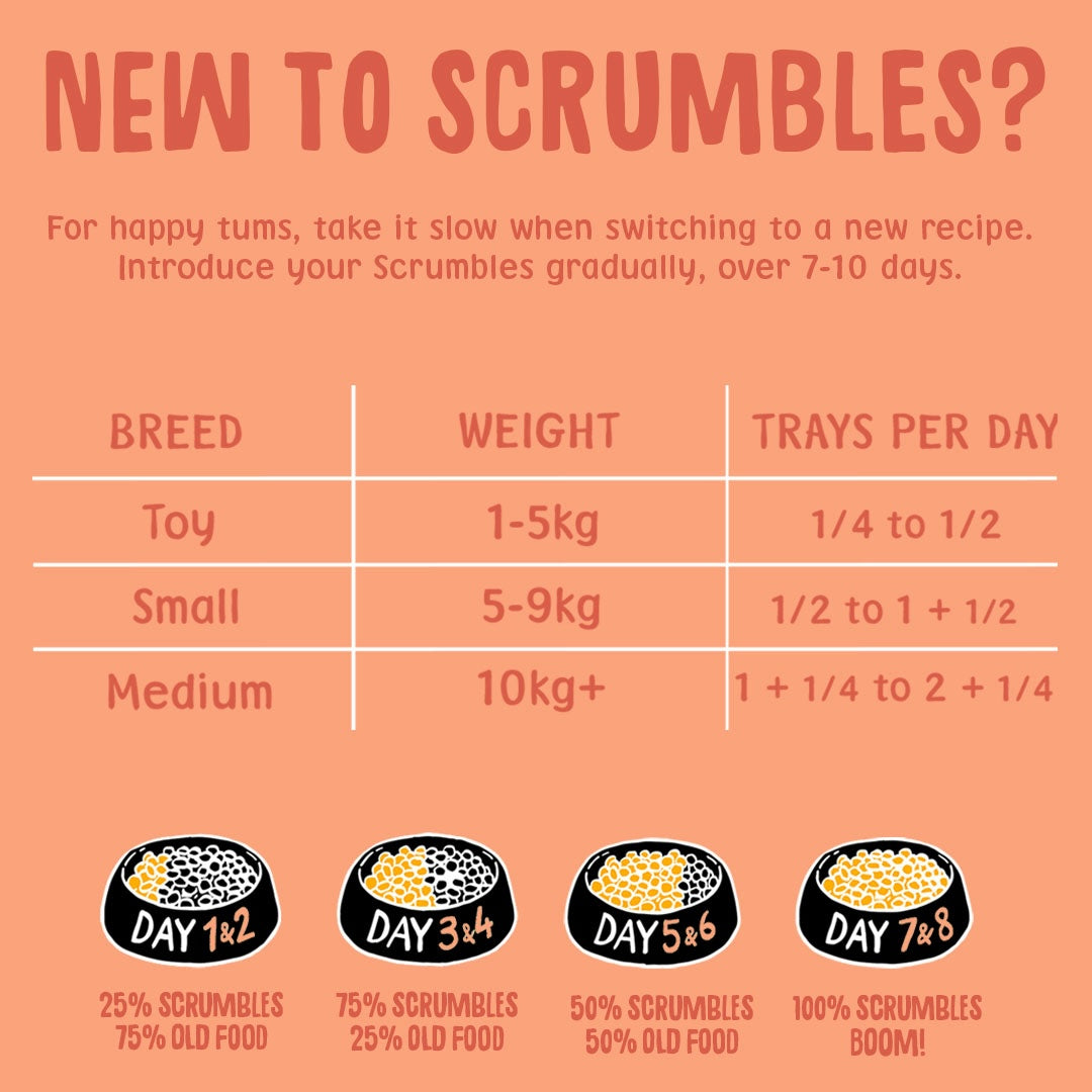 Duck Wet Dog Food Feeding