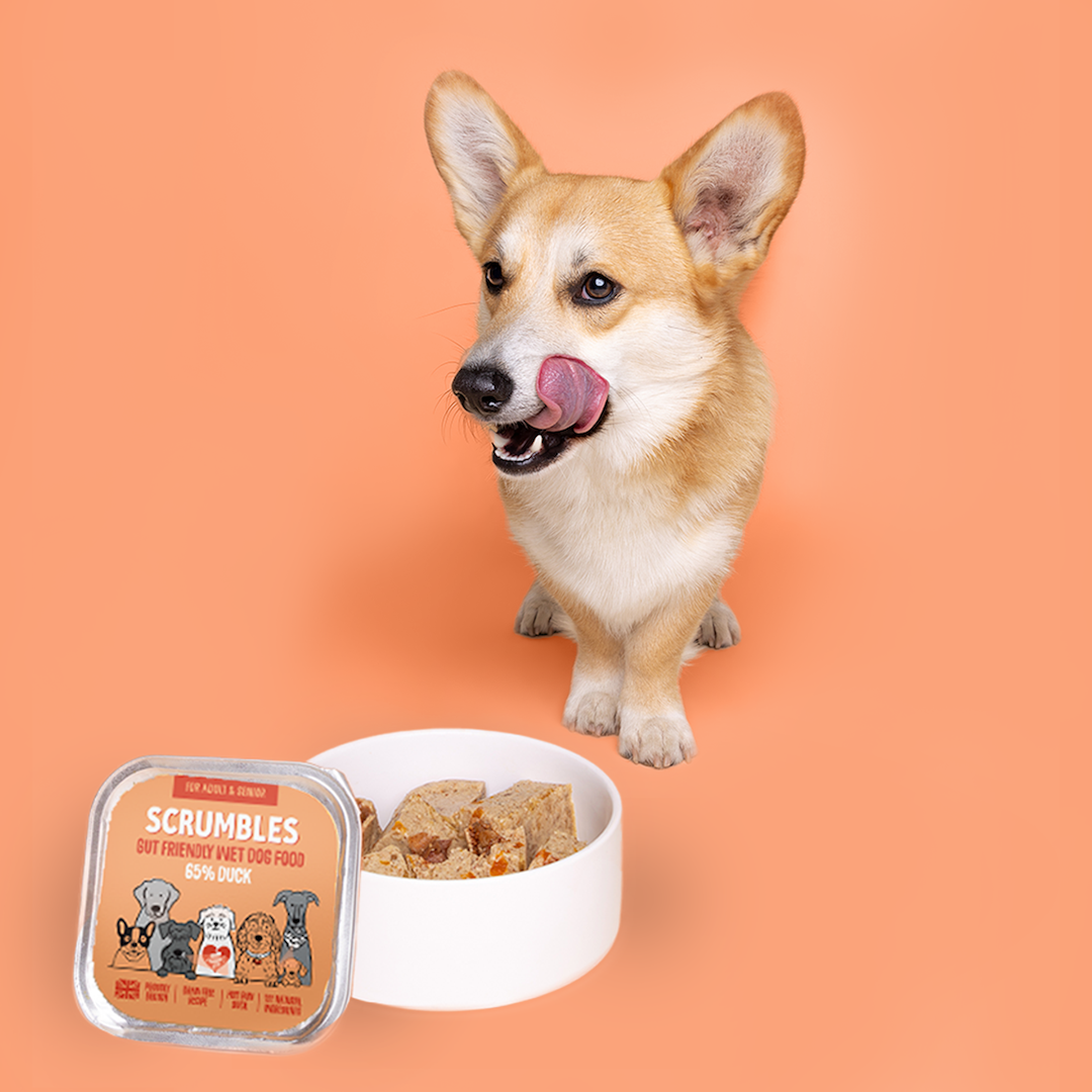 Duck 150g Wet Dog Food