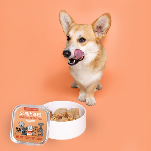 Duck 150g Wet Dog Food