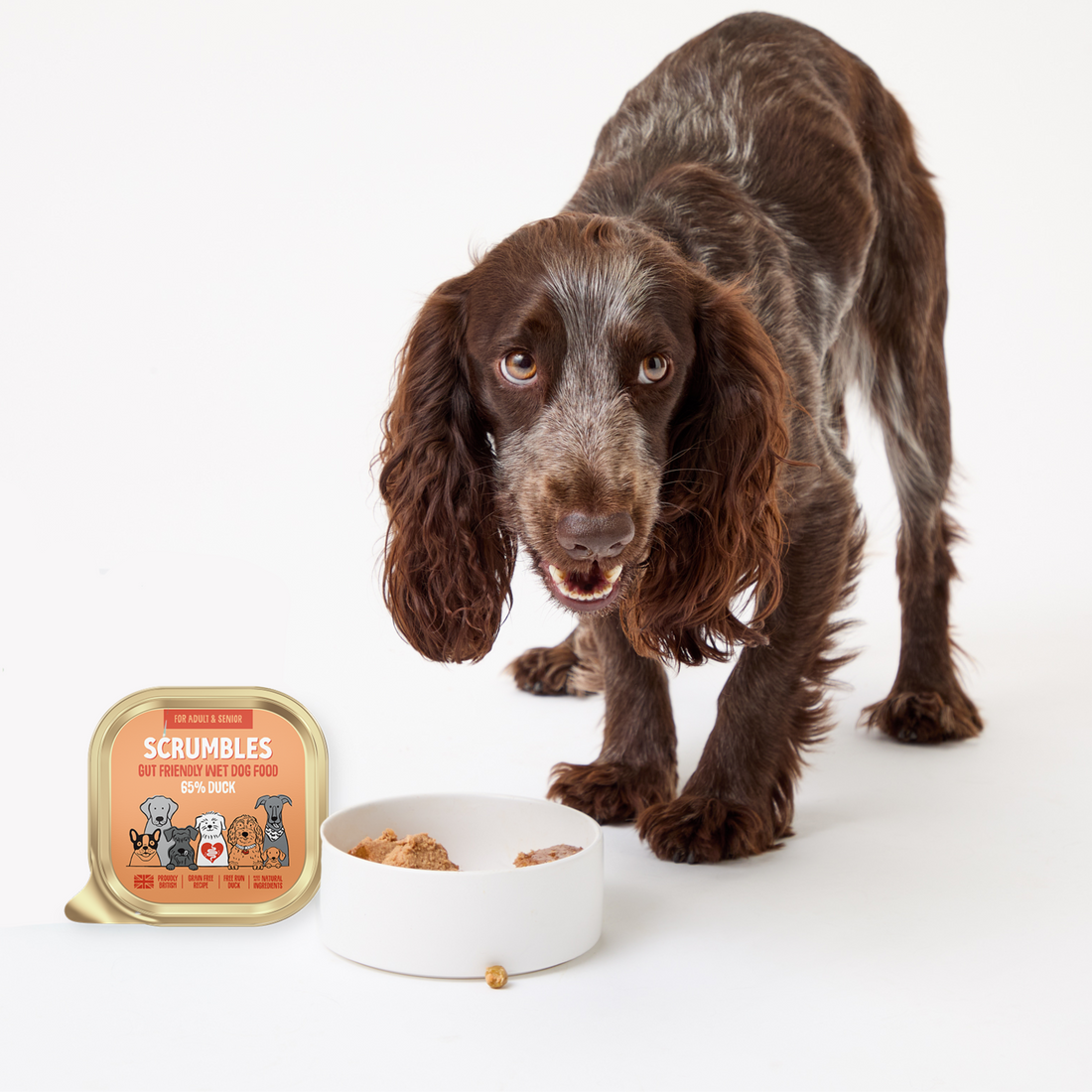 Duck Wet Dog Food