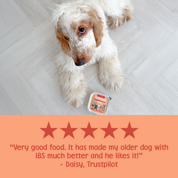 Duck 150g Wet Dog Food Review