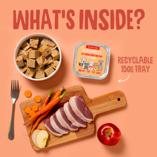 Duck 150g Wet Dog Food