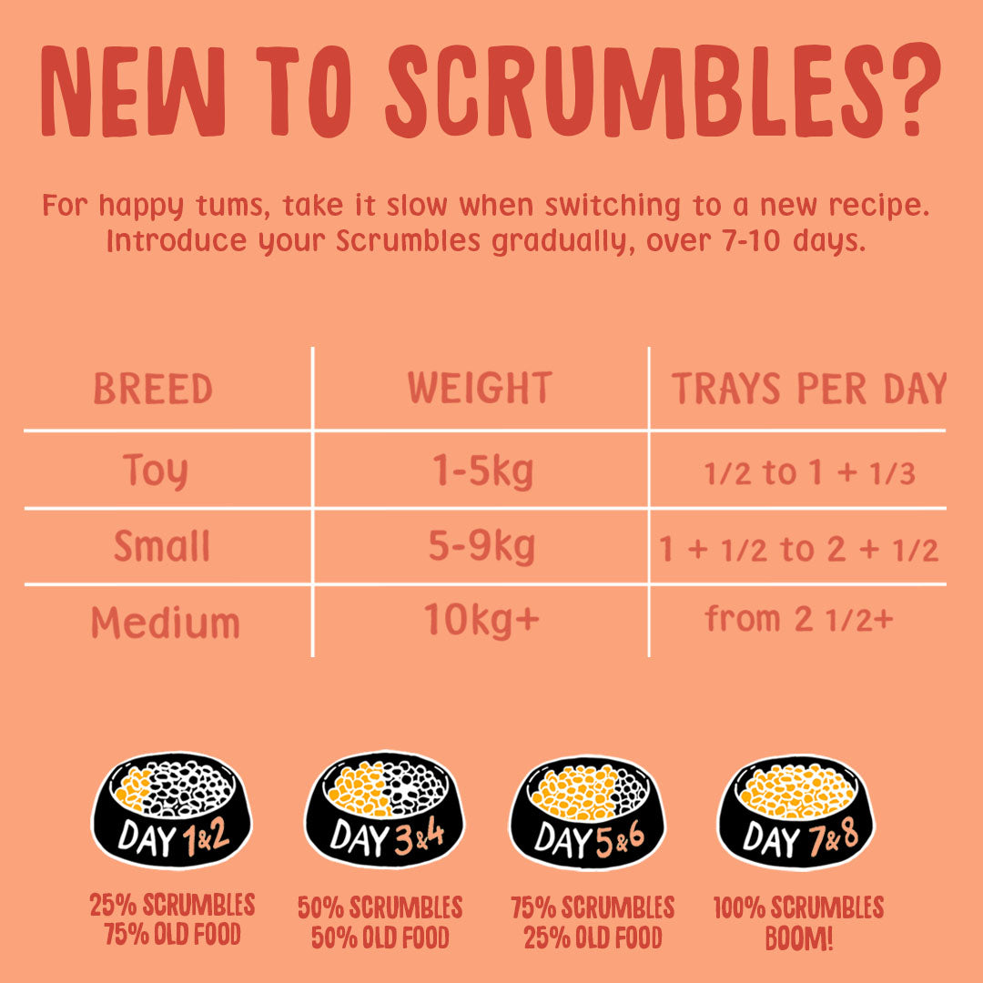 Duck 150g Wet Dog Food Feeding