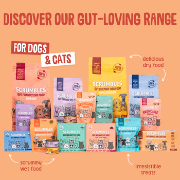 Duck 150g Wet Dog Food Range