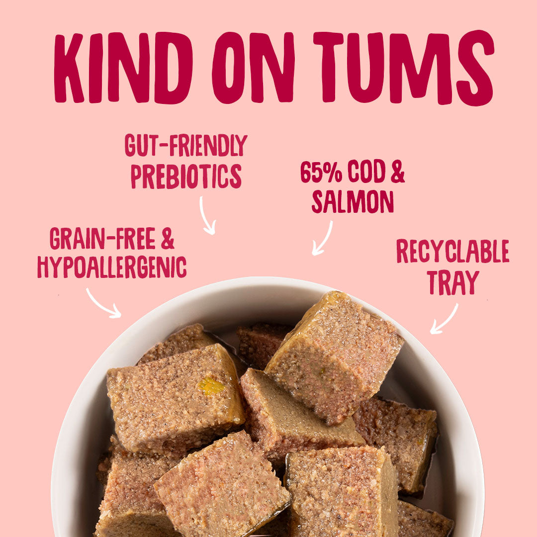  bowl of dog treats with 'Kind on Tums' text highlighting features on a pink background