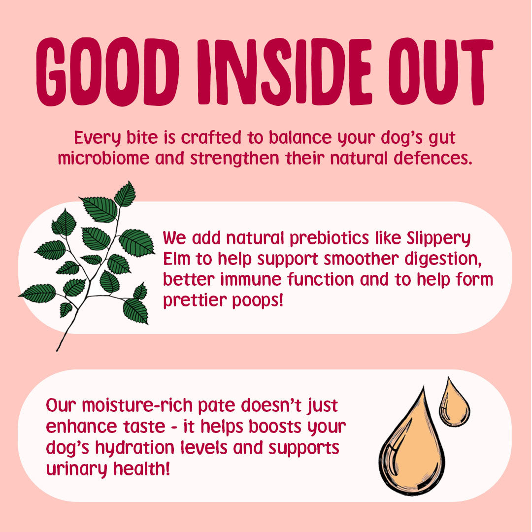 Product description for a dog food product on a pink background with text and graphics.