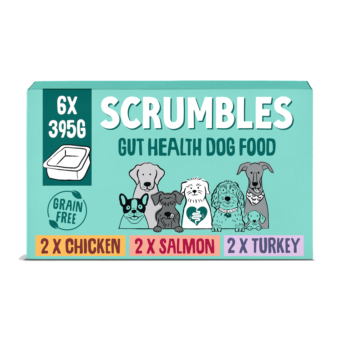 Poultry & Fish Selection Wet Dog Food