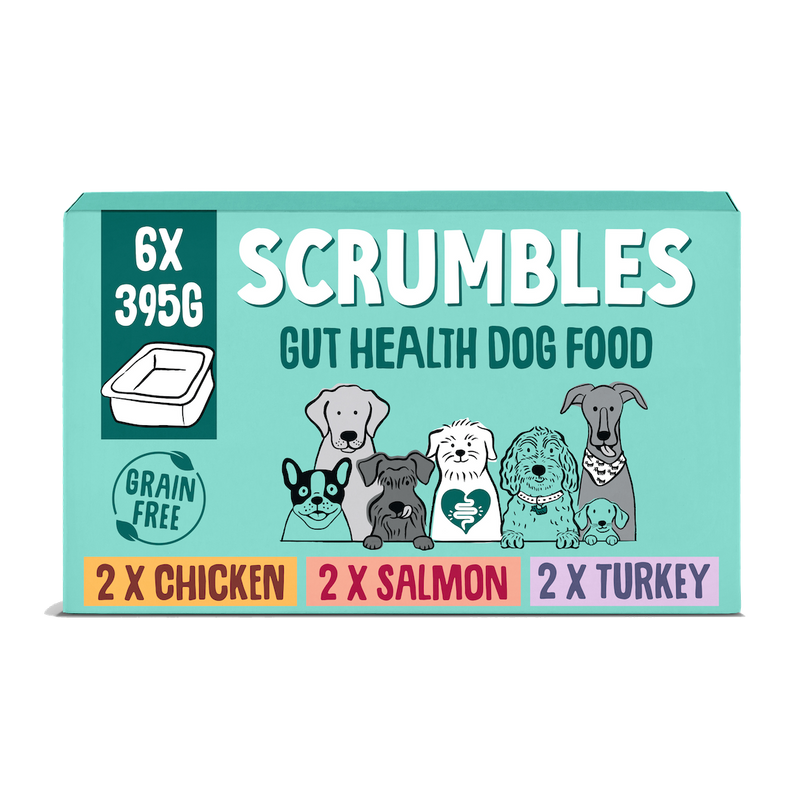 Poultry & Fish Selection Wet Dog Food