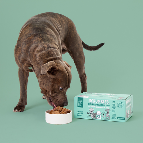 Poultry & Fish Selection Wet Dog Food