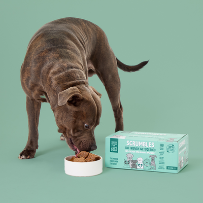 Poultry & Fish Selection Wet Dog Food