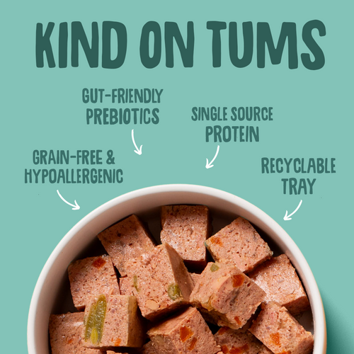 Poultry & Fish Selection Wet Dog Food