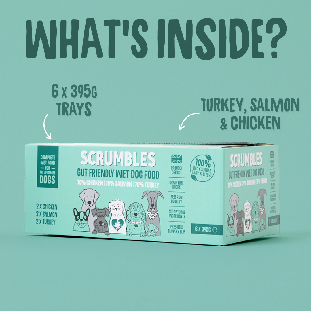 Poultry & Fish Selection Wet Dog Food