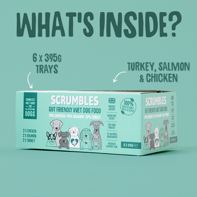 Poultry & Fish Selection Wet Dog Food