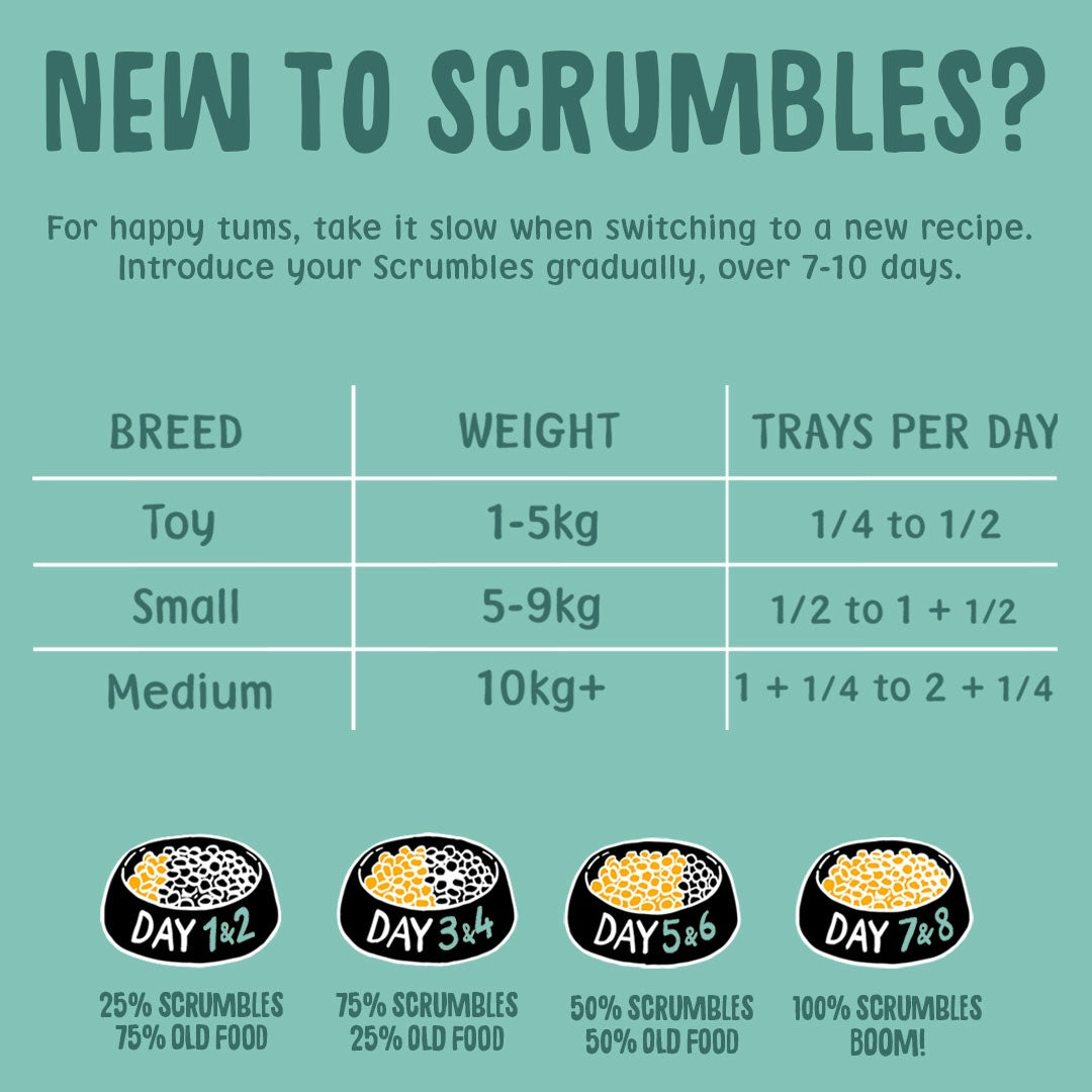 Poultry & Fish Selection Wet Dog Food Feeding