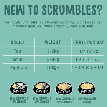 Poultry & Fish Selection Wet Dog Food Feeding