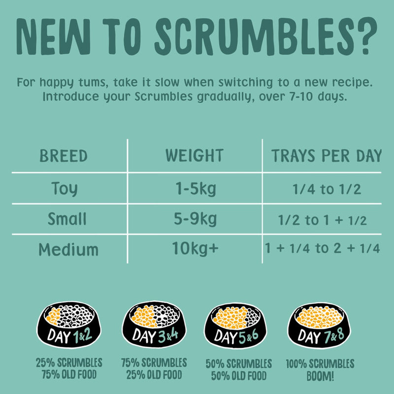 Poultry & Fish Selection Wet Dog Food Feeding