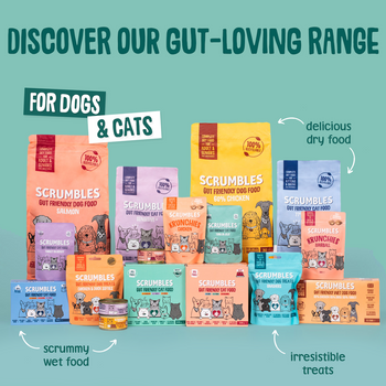 Poultry & Fish Selection Wet Dog Food Range