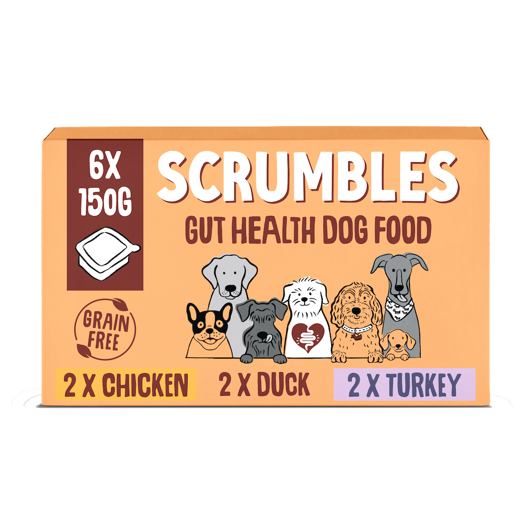 Poultry Selection 150g Wet Dog Food