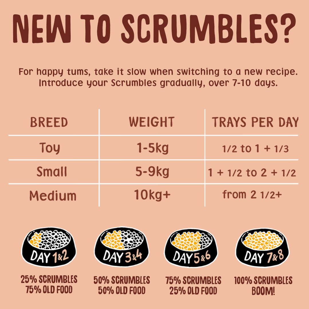 Poultry Selection 150g Wet Dog Food Feeding