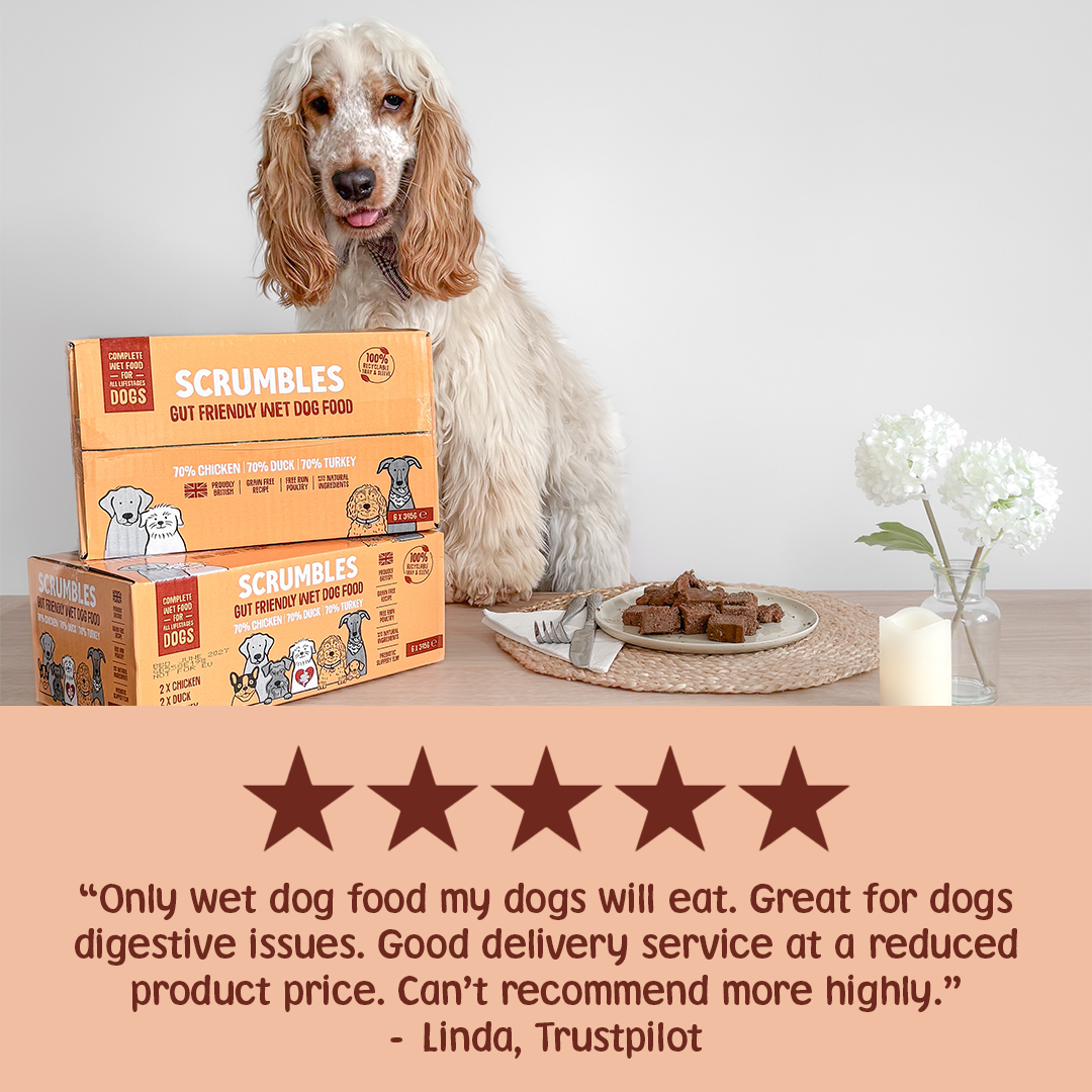Poultry Wet Dog Food Multipack Review