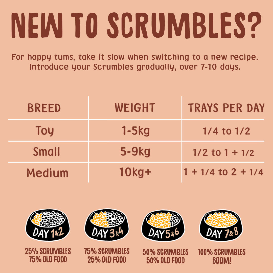 Poultry Wet Dog Food Multipack Feeding