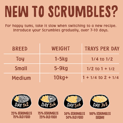 Poultry Wet Dog Food Multipack Feeding