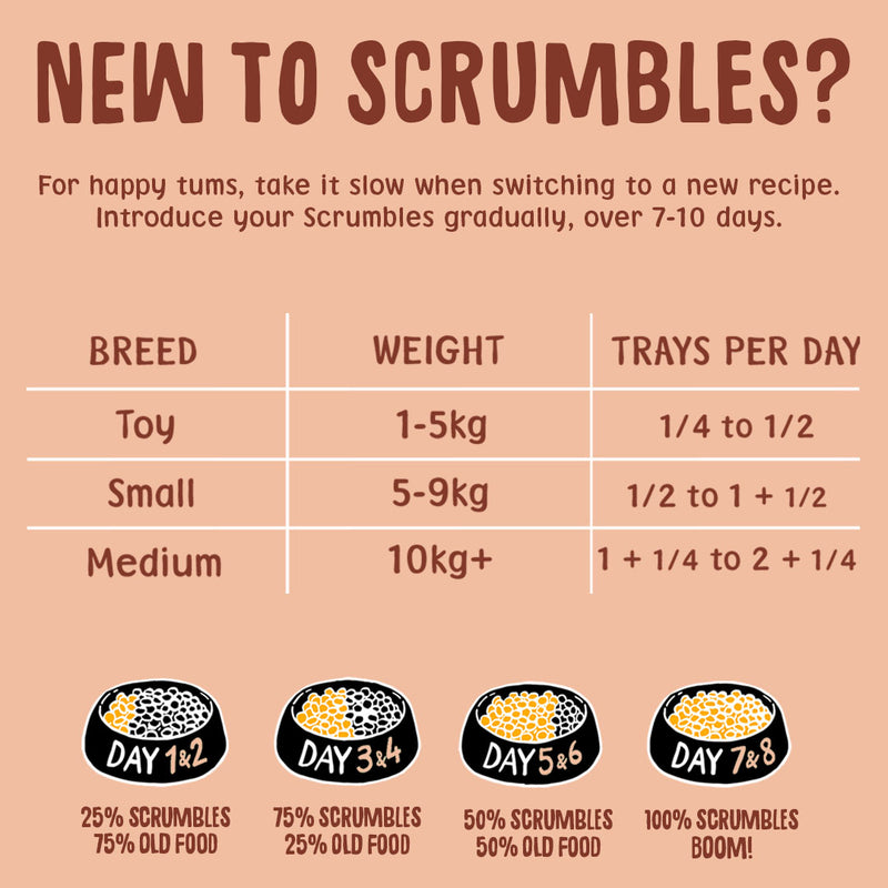 Poultry Wet Dog Food Multipack Feeding