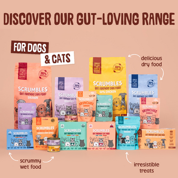 Poultry Wet Dog Food Multipack Range