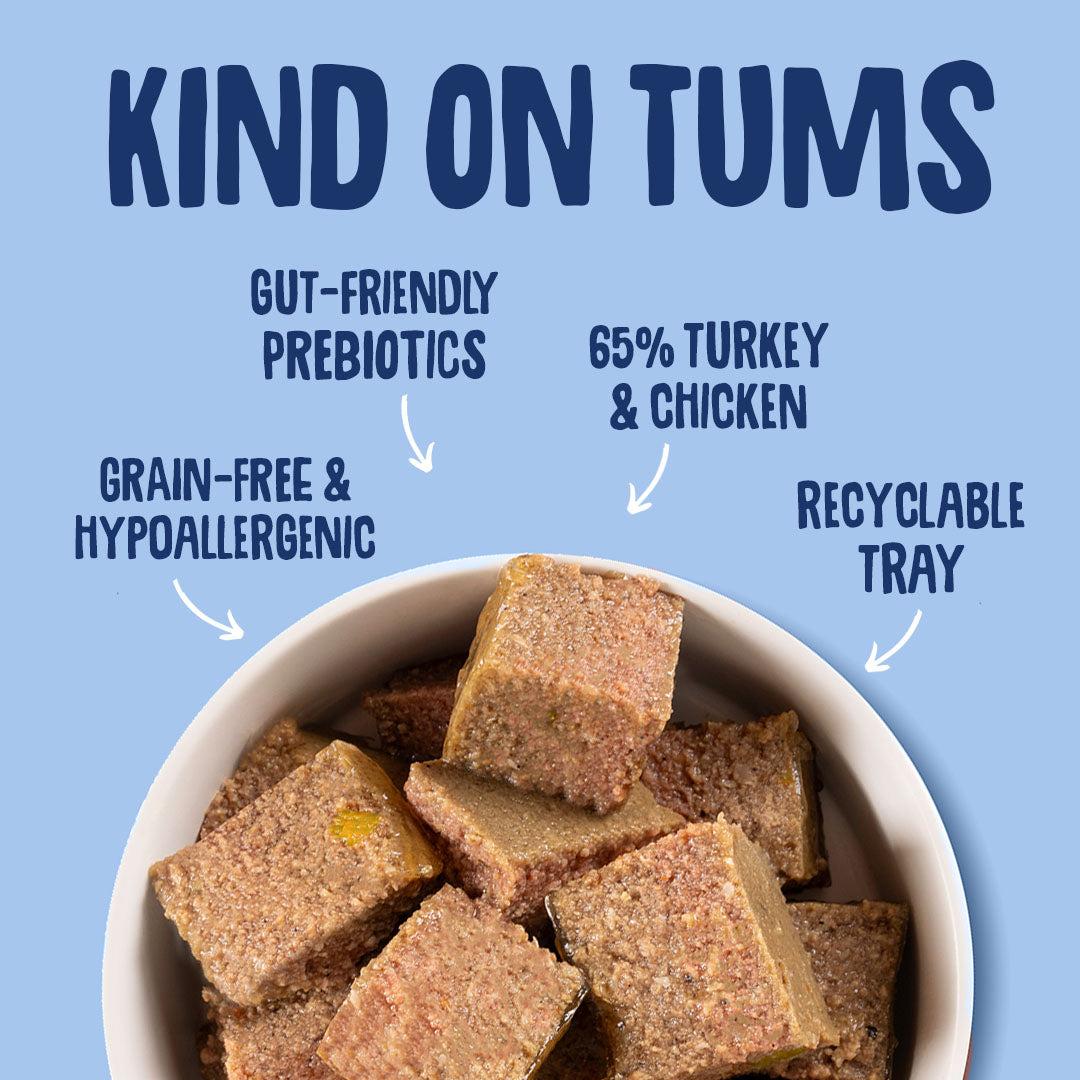 Bowl of dog treats with 'Kind on Tums' branding and health benefits listed on a blue background.