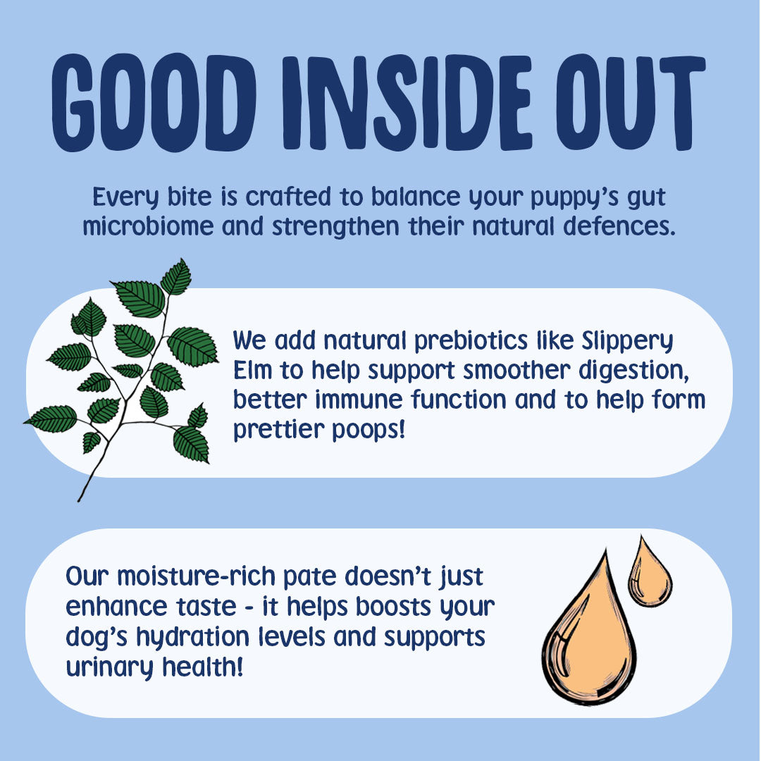 Advertisement for a dog product with text about gut health, prebiotics, and hydration on a blue background.