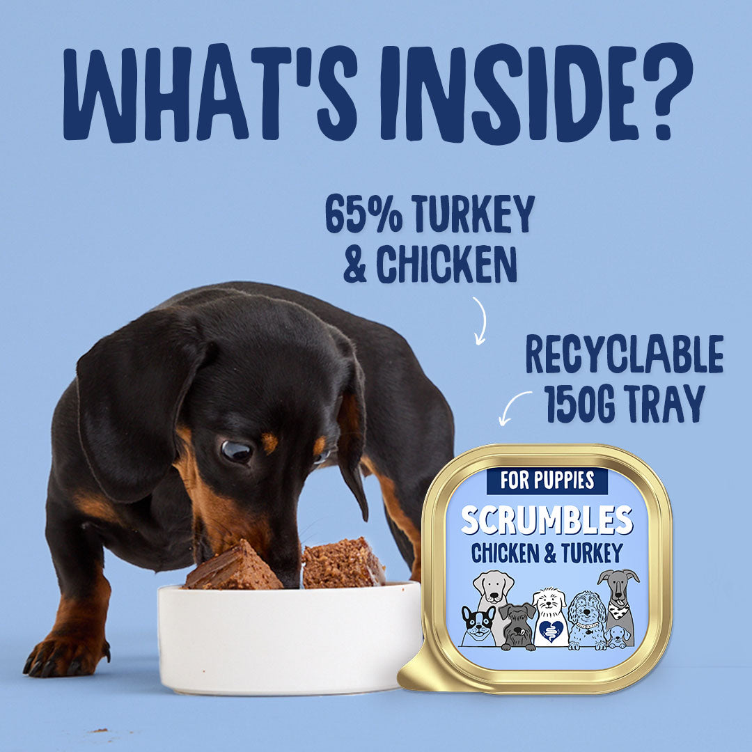 Dog eating from a bowl with Scrumbles pet food container and text about ingredients and packaging on a blue background
