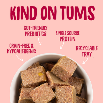 Salmon Wet Dog Food Gut Friendly