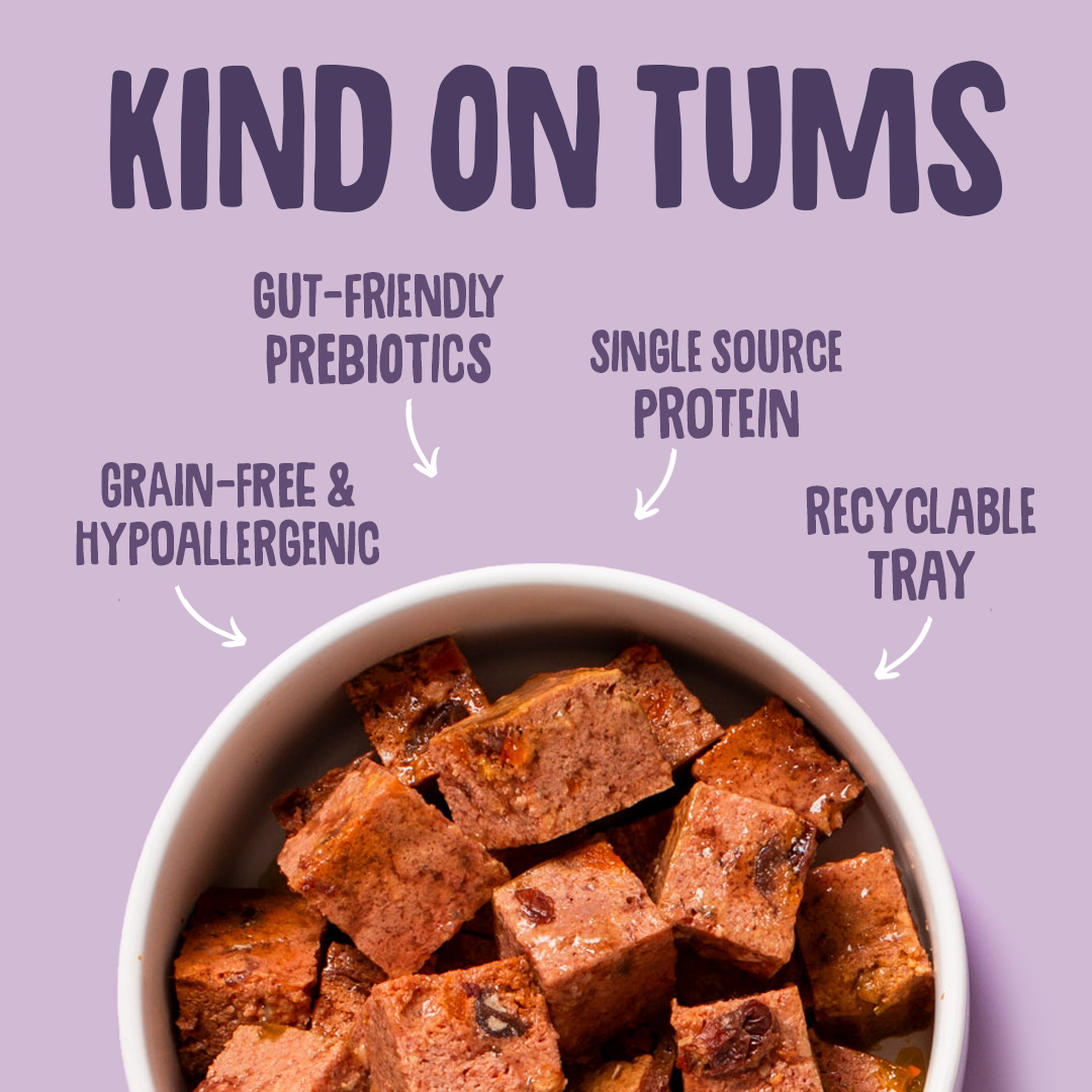 Turkey Wet Dog Food Gut Friendly