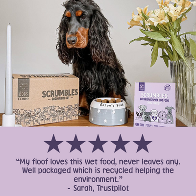 Turkey Wet Dog Food Review