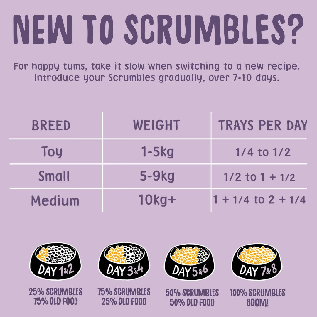 Turkey Wet Dog Food Feeding