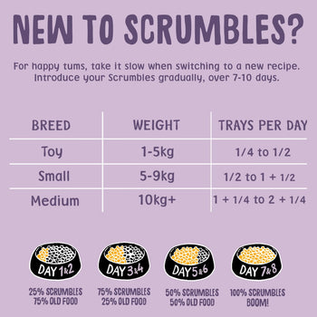 Turkey Wet Dog Food Feeding